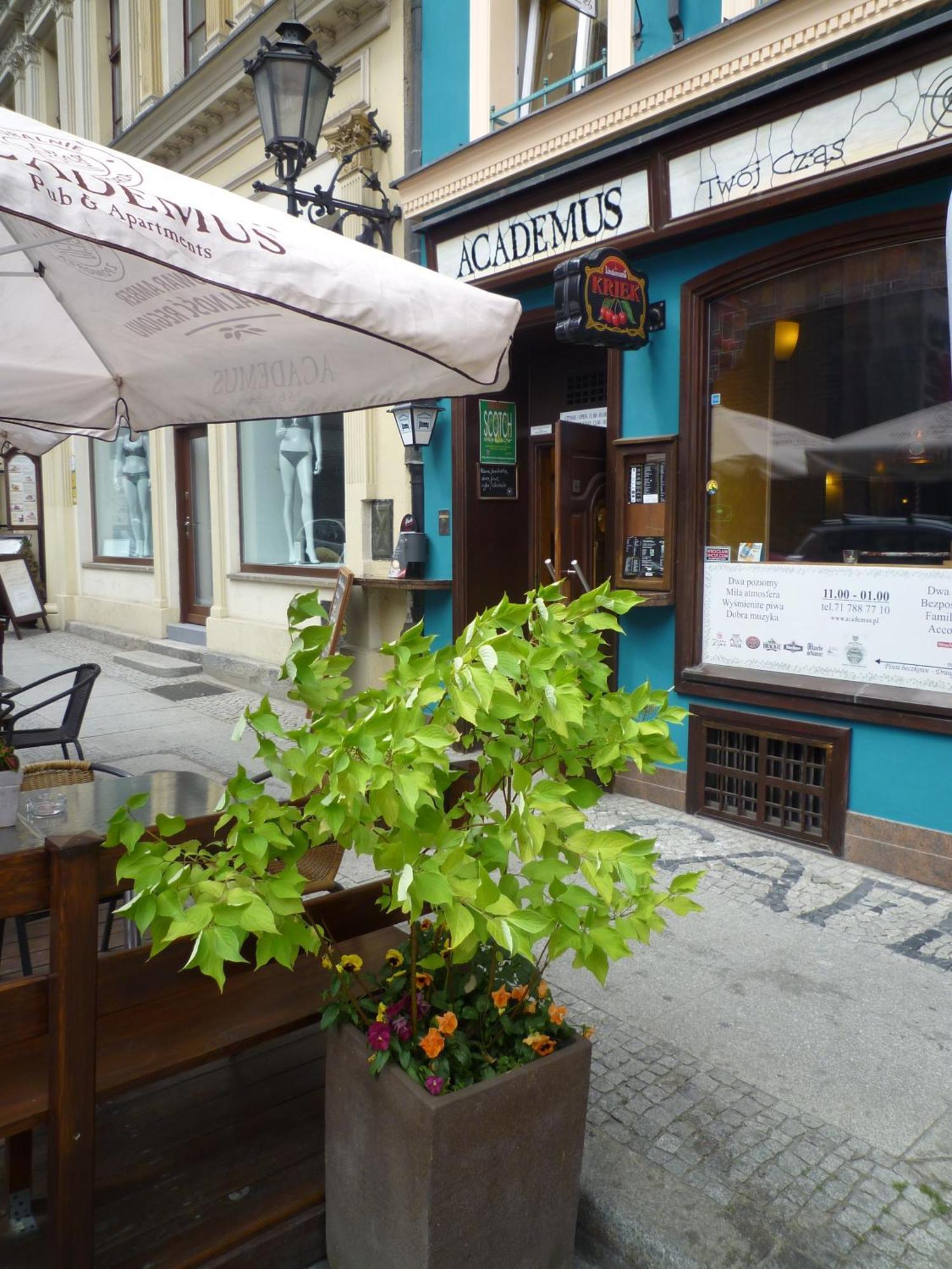 Academus Pub & Guest House Wroclaw Ngoại thất bức ảnh