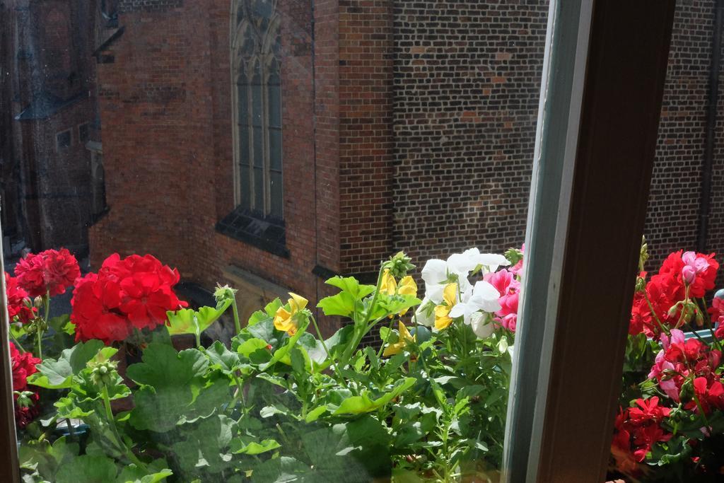 Academus Pub & Guest House Wroclaw Phòng bức ảnh